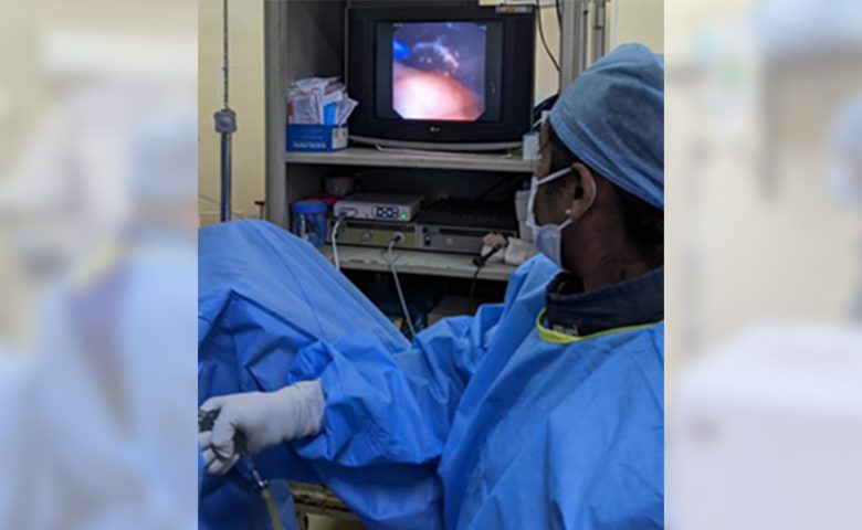 Retrograde Intrarenal Surgery By Holmium Laser (3)