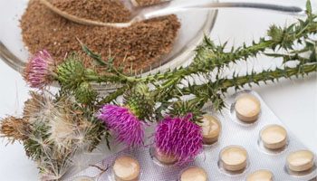 Some efficient home remedies for gallbladder pain 6 Milk Thistle For Gallbladder Pain
